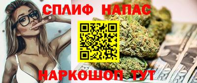 трава Славянск-на-Кубани