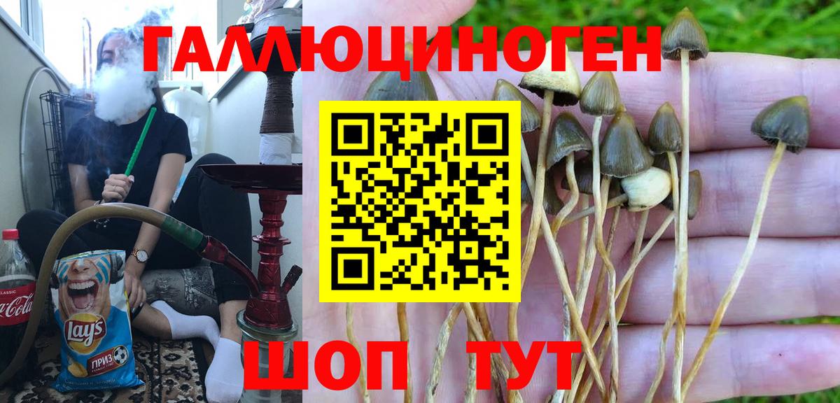 Псилоцибиновые грибы MAGIC MUSHROOMS Орёл