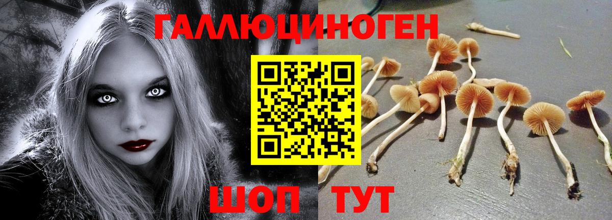 Орёл  Псилоцибиновые грибы MAGIC MUSHROOMS  Галлюциногенные грибы мицелий  Вход с VPN 